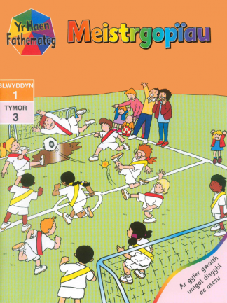Yr Haen Fathemateg Year 1 Term 3 Meistrgopiau