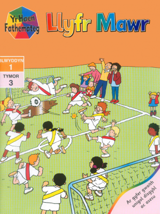 Yr Haen Fathemateg Year 1 Term 3 Llyfr Mawr