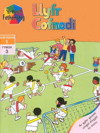 Yr Haen Fathemateg Year 1 Term 3 Llyfr Cofnodi (pack of 10)