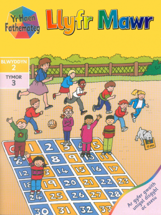 Yr Haen Fathemateg Year 2 Term 3 Llyfr Mawr