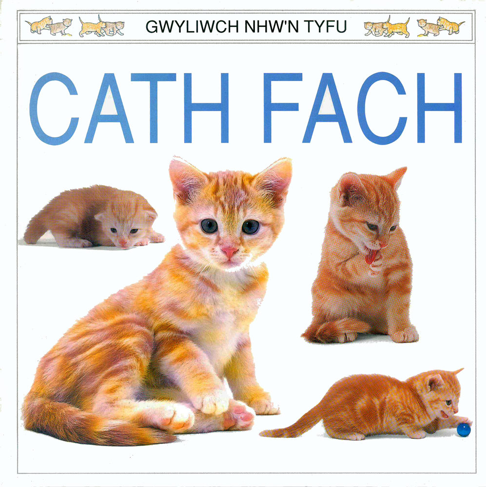 Gwyliwch Nhw'n Tyfu: Cath Fach
