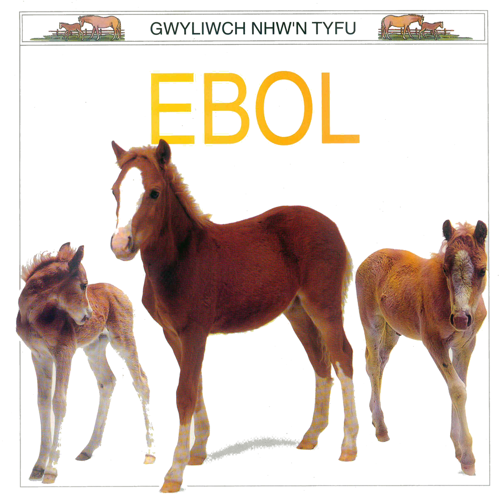 Gwyliwch Nhw'n Tyfu: Ebol