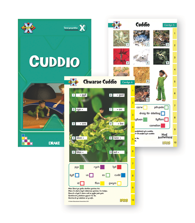 Blwyddyn 2 Band Gwyrddlas – Cuddio