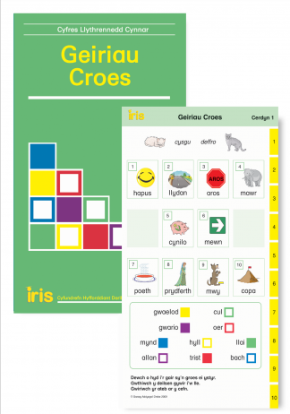 Geiriau Croes