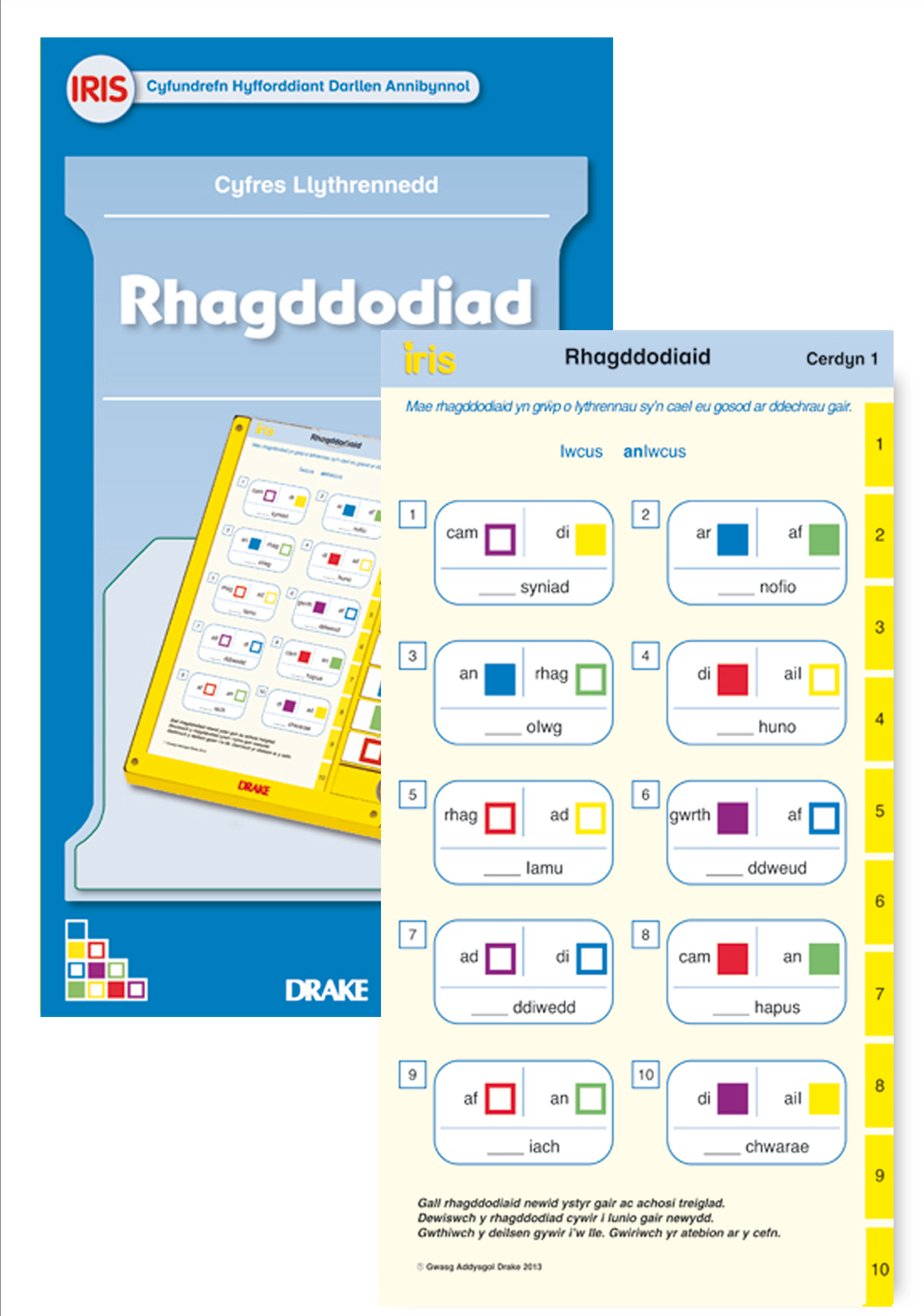 Rhagddodiaid